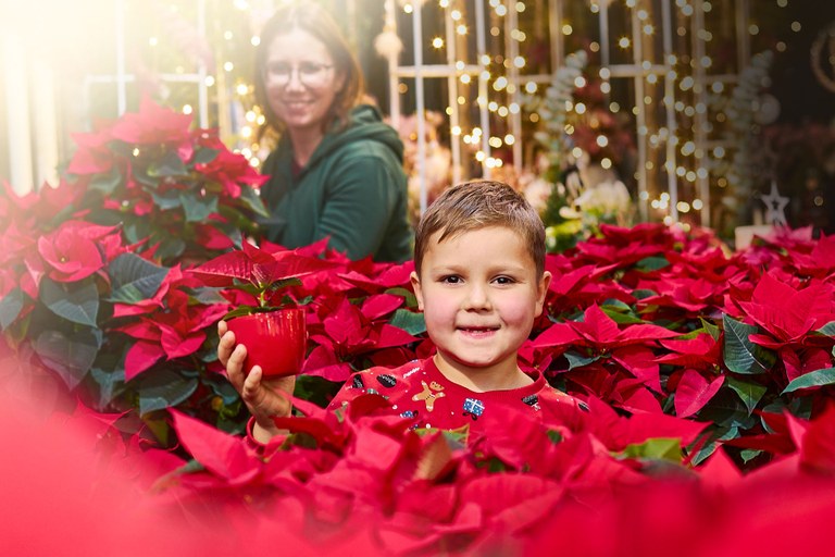 Gartentipp Dezember