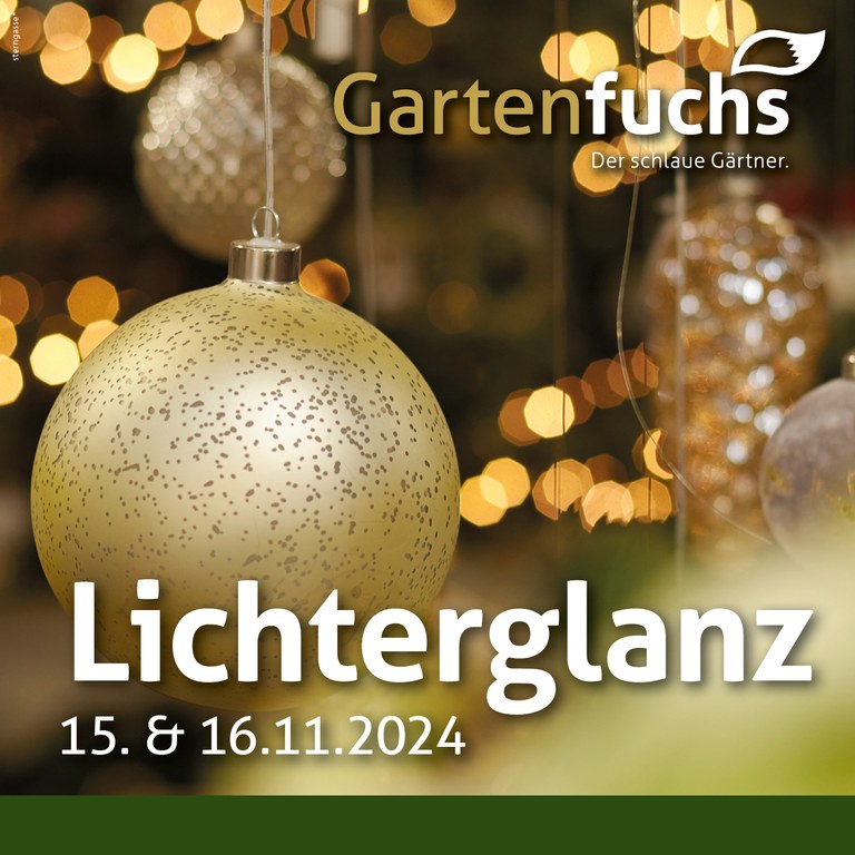 Ein Weihnachtsmärchen in Pöchlarn